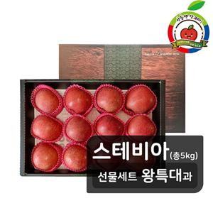 [스테비아사과 선물세트] 산들앤 달코미 스테비아사과 왕특대 1 box, 5kg