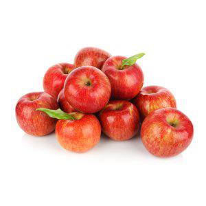 국내산 경북안동 부사 사과 가정용 실중량 3kg,5kg 중 / 대 / 간식