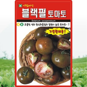 아람종묘 블랙펄 토마토 씨앗 10립 가정원예 완숙토마토씨 종자