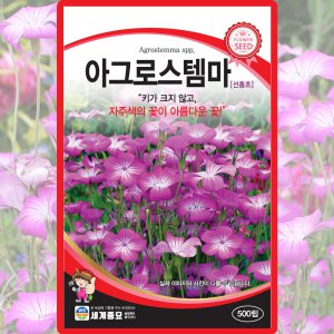 세계종묘 아그로스템마 씨앗 500립 선홍초 꽃씨 야생화 종자