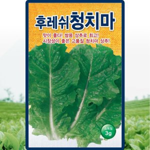 후레쉬청치마 상추 씨앗 3g 청치마 상추씨 쌈채소 종자