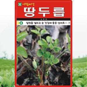 아람종묘 땅두릅 씨앗 200립 두릅씨 약초 산야초 종자