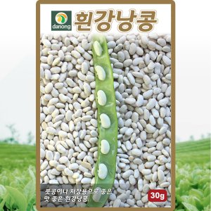 다농 흰강낭콩 씨앗 30g 넝쿨성 강낭콩씨 풋콩 종자