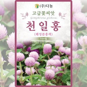 다농 천일홍 씨앗 100립 왜성분홍색 천일홍 꽃씨 야생화 종자
