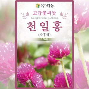 다농 천일홍 씨앗 100립 자홍색 천일홍 꽃씨 야생화 종자