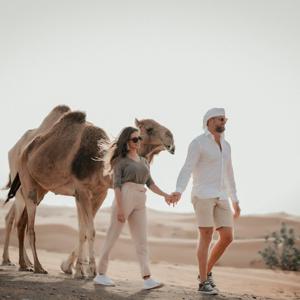 낙타 타기 & 샌드보딩이 포함된 두바이 아침 사막 사파리