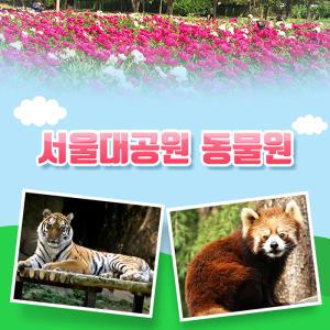 [과천] 서울대공원 동물원 입장권 (구매당일사용불가)