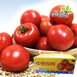 국내산 찰 토마토 10kg 정품