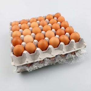 [특란] 알부자집 무항생제 계란 특란 60구(30구X2판)