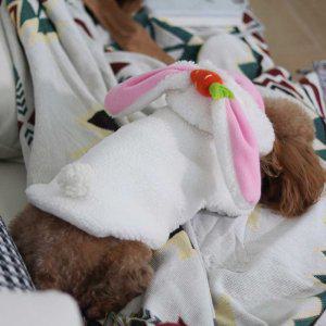 강아지 귀여운 토끼 귀 디자인 모자 자켓 스타일 코디
