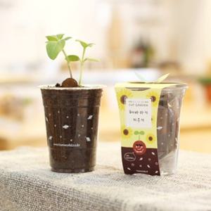 텐바이텐 반려식물 화분재배키트 컵 가든 시리즈 씨앗 키우기/손잡이정리함