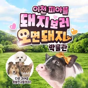 [이천] 피아뜰 돼지보러오면돼지박물관 봄소풍 이벤트