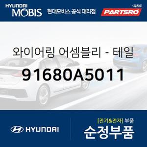 와이어링-테일 게이트 (91680A5011) 올뉴 i30 현대모비스 부품몰