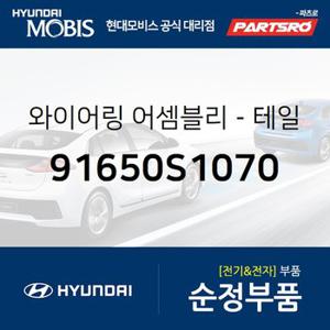 와이어링-테일 게이트 (91650S1070) 올뉴 싼타페 현대모비스 부품몰