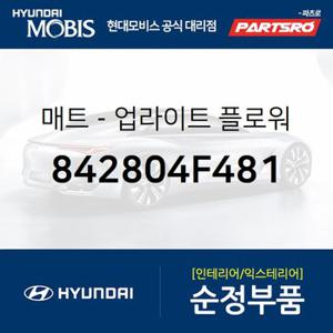 매트-업라이트 플로워 (842804F481) 포터2,포터2 특장