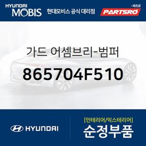 가드 어셈브리-범퍼 (865704F510) 포터2 현대모비스 부품몰