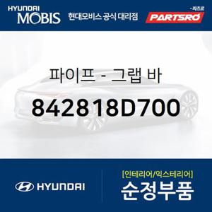 파이프-그랩 바 (842818D700) 유니버스 스페이스,유니버스 스페이스 19,유니버스 스페이스 19 특장