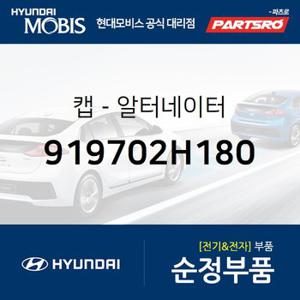 캡-알터네이터 (1개) (919702H180) 더뉴 레이,더뉴 i30,더뉴 K3,더뉴 쏘울,더뉴 i40,2018 i40,LF쏘나타 하이브리드,아반떼AD,올뉴 모닝,모닝 어반,벨로스터,포터2,포터2 특장,더뉴 프라이드,더뉴 모닝,I30,I40,쏘나타LF 하이브리드