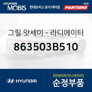 그릴-라디에이터 (863503B510) 에쿠스,뉴 에쿠스