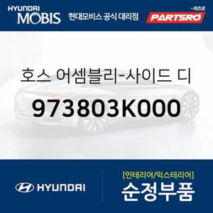 호스-사이드 디프로스터,좌측 (973803K000) NF쏘나타,쏘나타NF