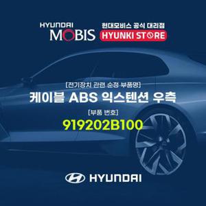 케이블 ABS 익스텐션 우측 (919202B100)