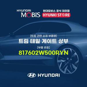 트림 테일 게이트 상부 (817602W500RYN)