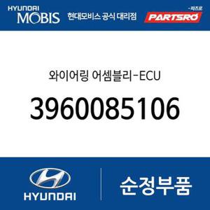 와이어링-ECU (3960085106) 뉴 파워트럭 4X2, 뉴 파워트럭 6X4, 트라고 6X4