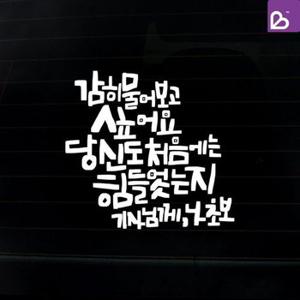 SOKOOB 캘리그라피 기사님께 초보운전스티커 화이트