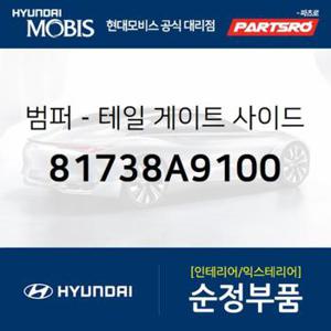 범퍼-테일 게이트 사이드 가이드 (81738A9100)  니로 하이브리드, 올뉴 카니발, 더뉴 카니발, 스포티지 더 볼드, 디올뉴 투싼NX4, 디올뉴 투싼NX4 하이브리드, 더올뉴 스포티지, 쏘렌토 하이브리드, 더올뉴 스포티지 하이브리드, 팰리세이드,