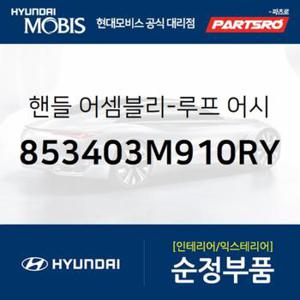 실내 천장 손잡이 (루프 어시스트 핸들),조수석쪽 (853403M910RY) 제네시스 현대모비스부품몰