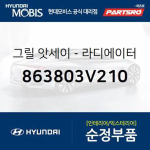 순정 라디에이터 그릴 (863803V210) 그랜저HG, 그랜저 하이브리드 현대모비스부품몰