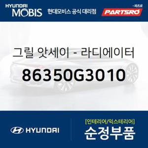 순정 라디에이터 그릴 (86350G3010)  i30, I30