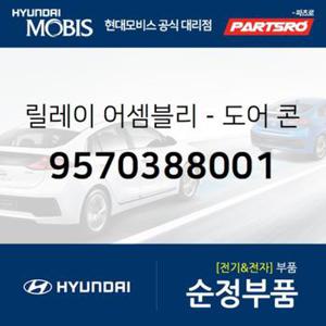 릴레이-도어 콘트롤 박스 (9570388001)  에어로 스페이스, 에어로 퀸