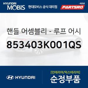 실내 천장 손잡이 (루프 어시스트 핸들) 앞좌석,조수석쪽 (853403K001QS) 쏘나타NF 현대모비스부품몰