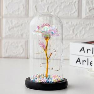 홀로그램 장미 LED 무드등 유리돔 플라워 꽃 크리 글라스돔 카네이션