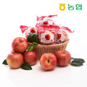 [자연맛남] 동안동농협 프리미엄 세척사과 3kg (14과내)