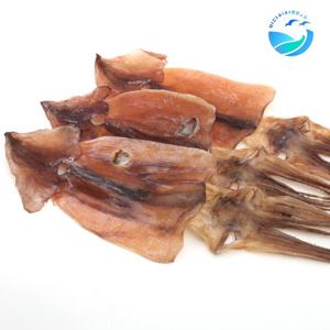 [바다씨쌀롱]국내산 영덕 건오징어 파지500g 마른오징어 파품