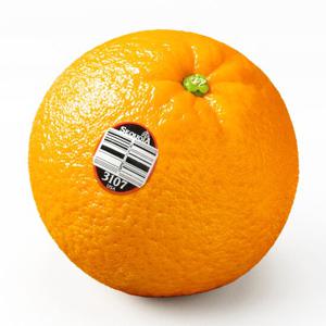 [맛젤] 미국산 오렌지 대과 72개입 18kg (개별 240g내외)