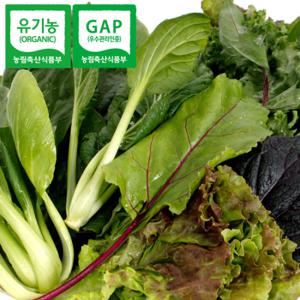 초록내음 유기농 쌈채소 1kg