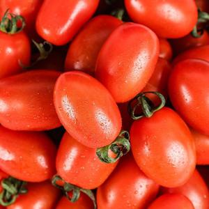 [농부마음]단단한 대추 방울 토마토 2kg(4-5번)