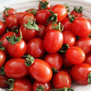 [자연맛남 토마토] 새콤달콤 대추 방울토마토 2kg (4-5번)