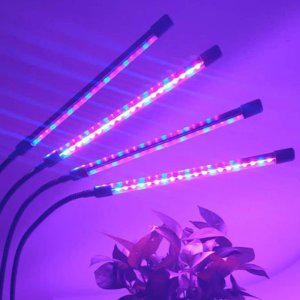 관엽식물 키우기 LED조명 트리플라인 컬러 조절랜턴