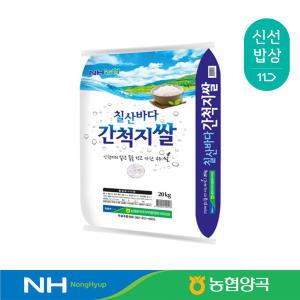 [농협양곡] 23년산 칠산바다 간척지쌀 상등급 20kg 새청무