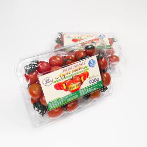 스테비아 대추 방울 토마토 애플마토 1kg