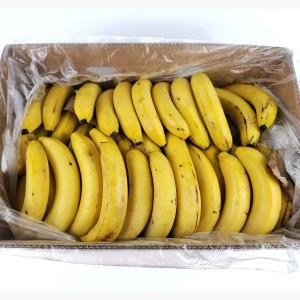 [신세계몰]쥬스용 실속 낱발 고당도 바나나 13kg