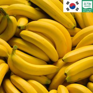 국산 유기농 바나나 1.5KG 국내산 고당도 산청 바나나