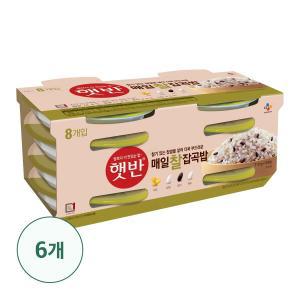 [CJ] 햇반 매일찰잡곡밥210G x 48개