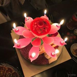 생일파티연꽃초 축하이벤트케이크 멜로디회전초
