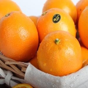 블랙라벨 Mpark 미국산 캘리포니아 실속 오렌지 10kg