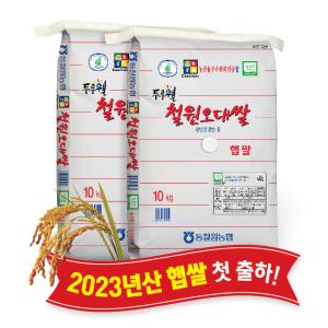 2023 동철원농협 철원오대쌀 10kg+10kg
